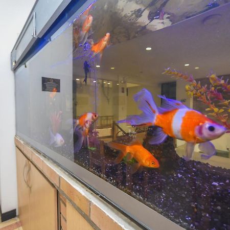 Hotel Estadio Real 메딜린 외부 사진